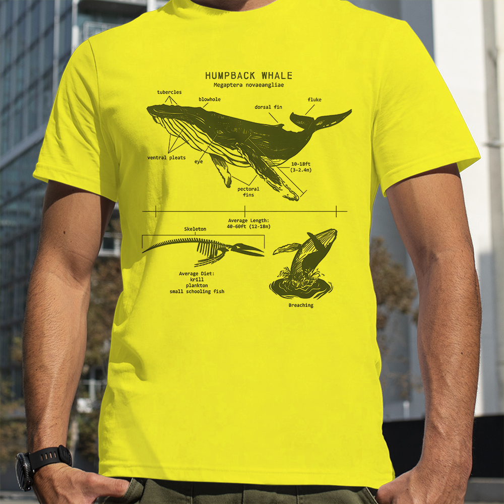 Humpback Whale Anatomy Shark L - Street Fashion Loverboy 评论和价格