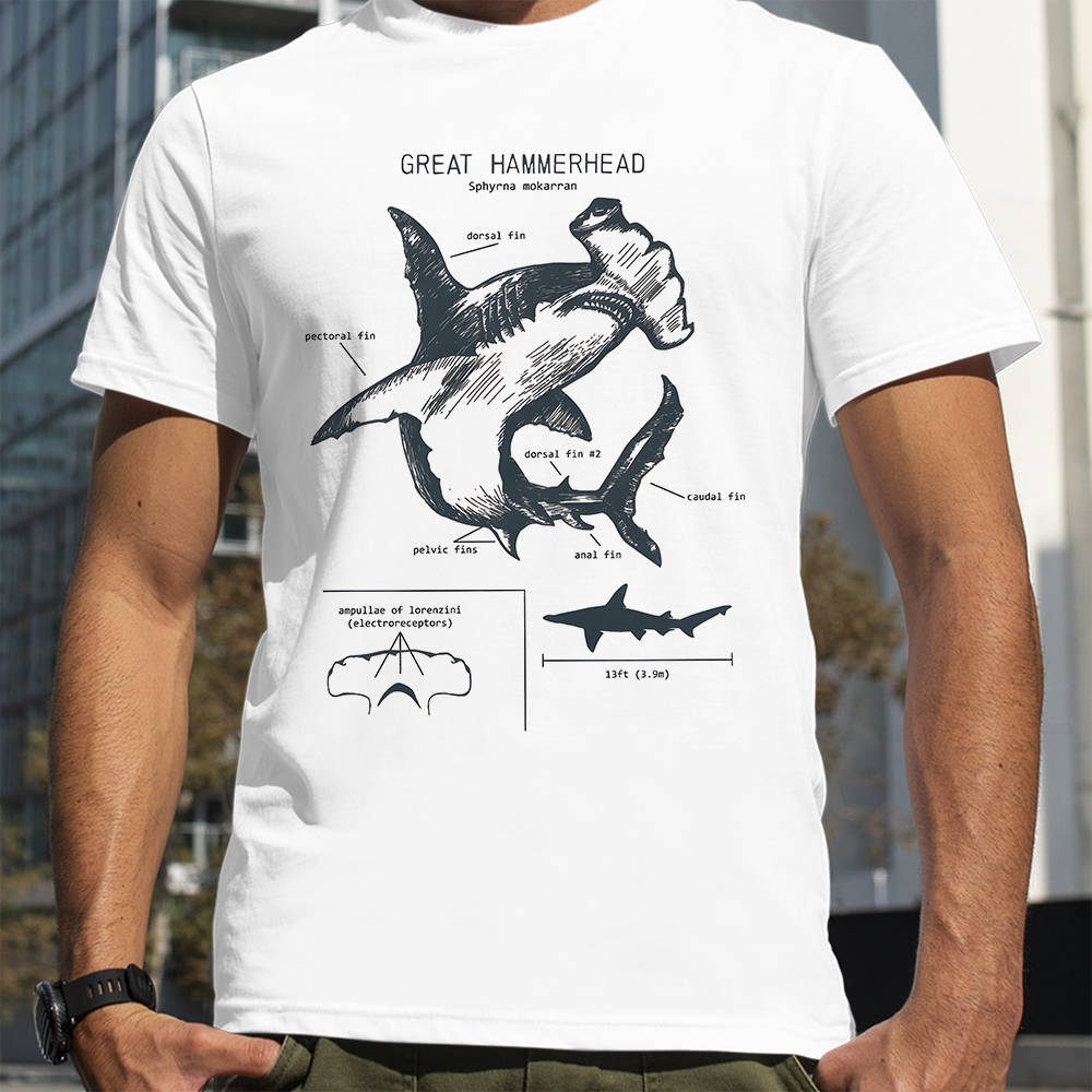 Hammerhead Shark Anatomy Shark - Street Fashion Loverboy 评论和价格